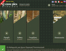 Tablet Screenshot of caneplex.com